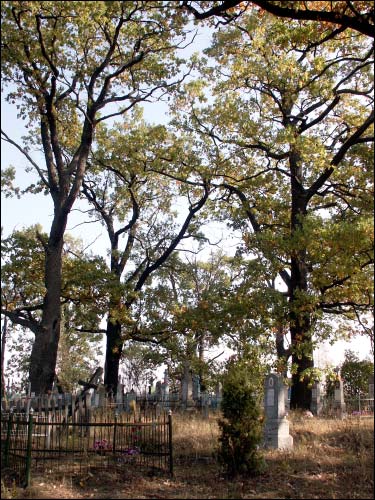  - Kaplica Św. Przemienienia Pańskiego. Cmentarz