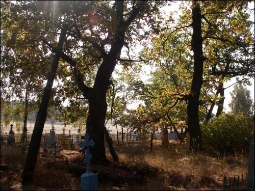  - Kaplica Św. Przemienienia Pańskiego. Cmentarz