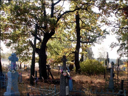  - Kaplica Św. Przemienienia Pańskiego. Cmentarz