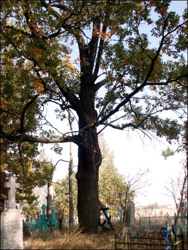  - Kaplica Św. Przemienienia Pańskiego. Cmentarz