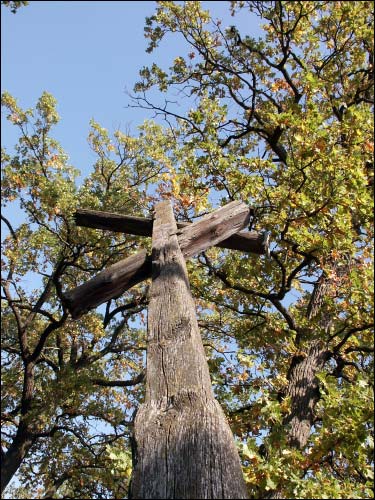  - Kaplica Św. Przemienienia Pańskiego. Stary krzyż