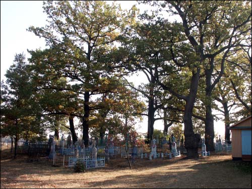  - Kaplica Św. Przemienienia Pańskiego. Cmentarz