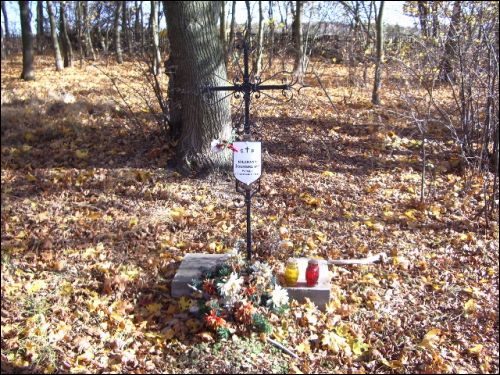 Vialikaja Rajoŭka. Defensive Fortifications 