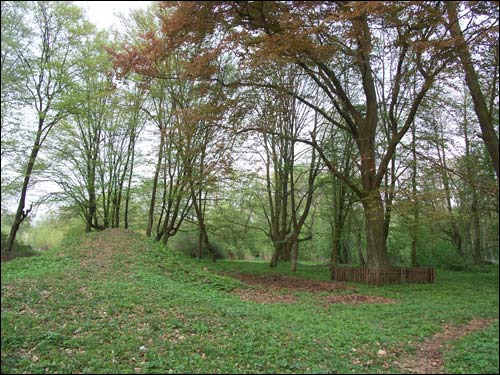  - Park dworski Hutowskich. Fragment parku