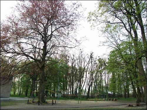  - Park dworski Hutowskich. Fragment parku