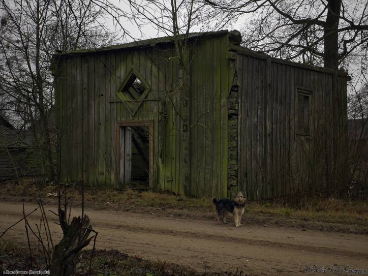 Комлевщина. Церковь 