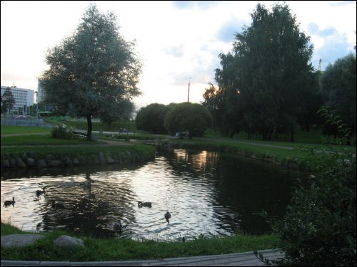  - Краявіды . Здымак зроблены 08.08.2007 г.