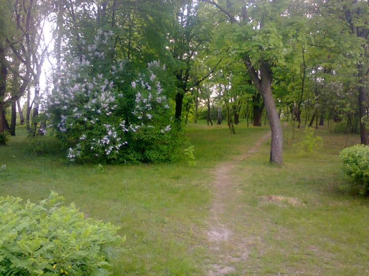 Przyborowo. Krajobrazy 