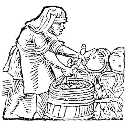 Малая Лютинка |   Введение в «Нашу Страву». 