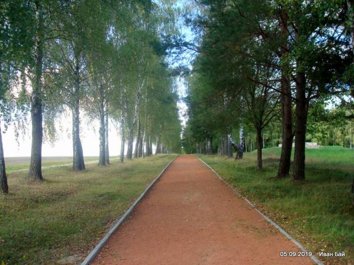  -  Pole bitwy nad Berezyną. 