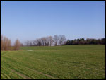 Rakavica.  Manor park (fragments)