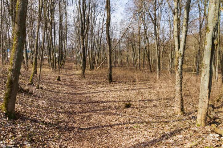  - Сядзіба Чурлёны. Сядзібны парк