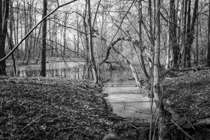  - Сядзіба Чурлёны. Сажалка ў парку