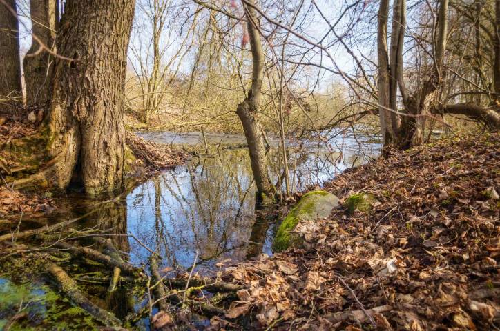 Лыцавічы. Сядзіба Чурлёны