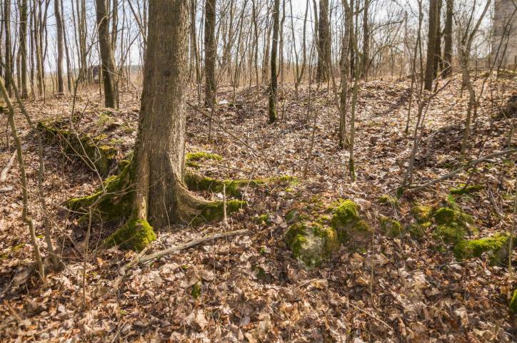 Лыцавічы. Сядзіба Чурлёны