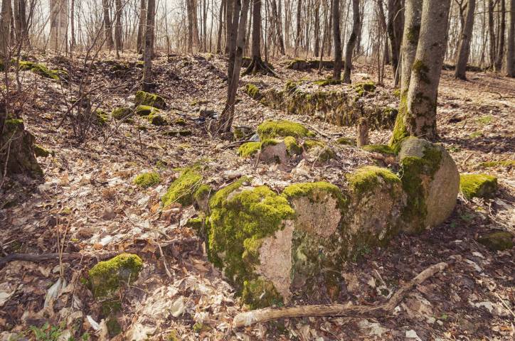  - Сядзіба Чурлёны. Рэшткі падмурка сядзібнага дома