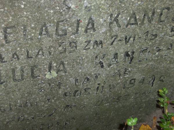  - Cmentarz stary katolicki. 