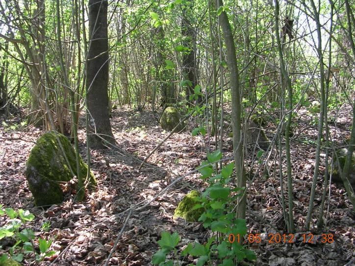 Некрашунцы.  Кладбище татарское (Мизар) - 2