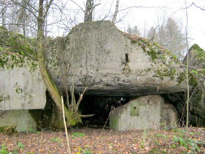 Янушковичи. Оборонные укрепления 