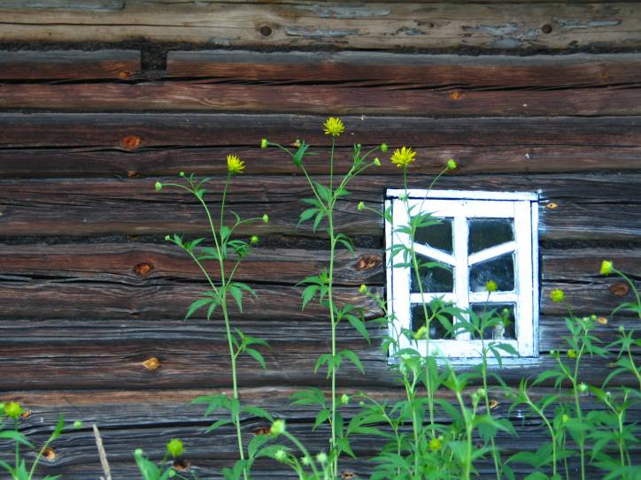 In the village  .   - In the village .