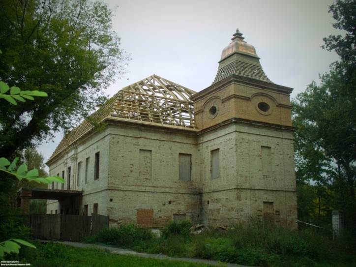 Skoki. Manor of Niamcevič