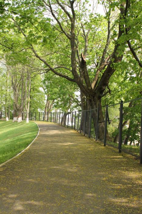  -  Medieval fortifications. 