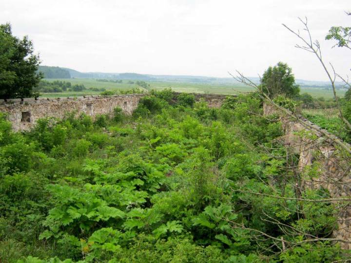 Кузевичи |  Хозяйственный двор . Руины коровника XIX в. в Кузевичах