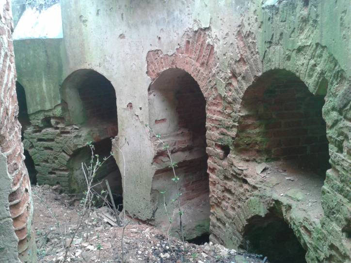 Čyrvonaja Dubrava (Makrany). The tomb of Woyniłłowicz