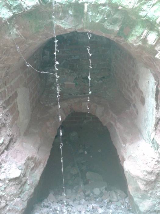 Čyrvonaja Dubrava (Makrany). The tomb of Woyniłłowicz