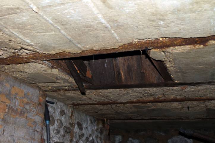 Czuchny |  Folwark Feliksowo. 