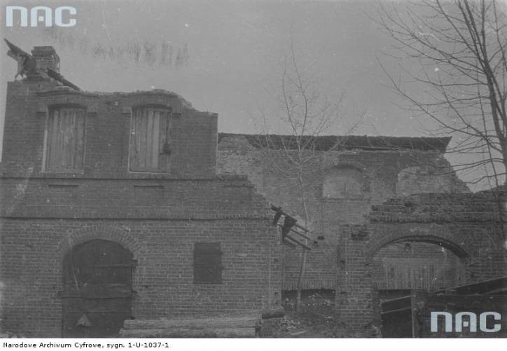 Дисна. Город на старых фотографиях 