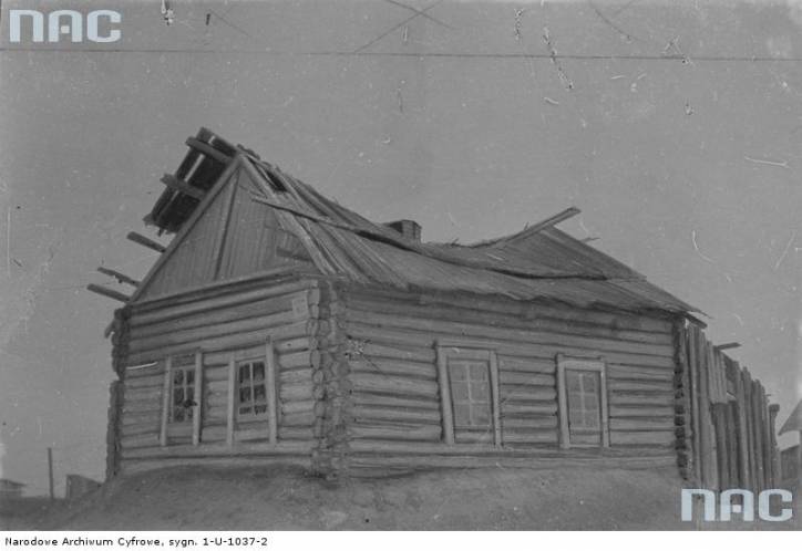Дисна. Город на старых фотографиях 