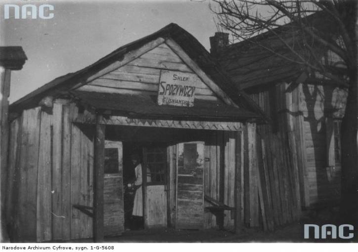 Дисна. Город на старых фотографиях 