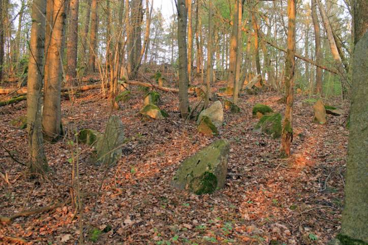 Łastai. cemetery Tartarian