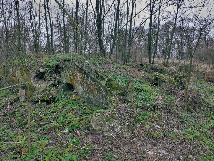 Сычы. Сядзіба Талочкаў