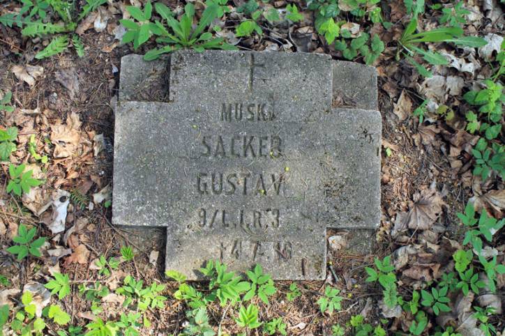 Połtaraŭščyna. Soldierly (WWI) Cemetery