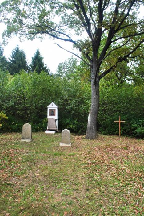 Агульны від Дзягільна. Могілкі роду Янушкевічаў