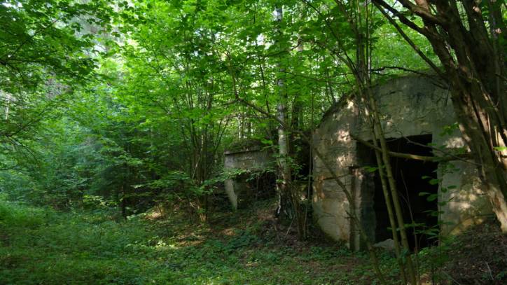 Defensive Fortifications  .   - Defensive Fortifications .