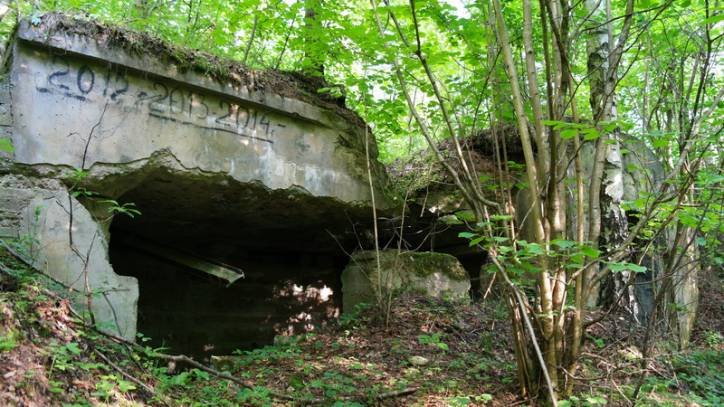 Defensive Fortifications  .   - Defensive Fortifications .
