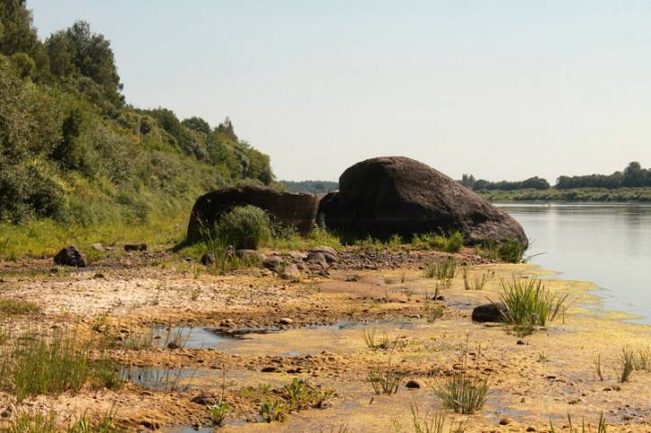 Barsuki.  Wielki kamień chorobrowski