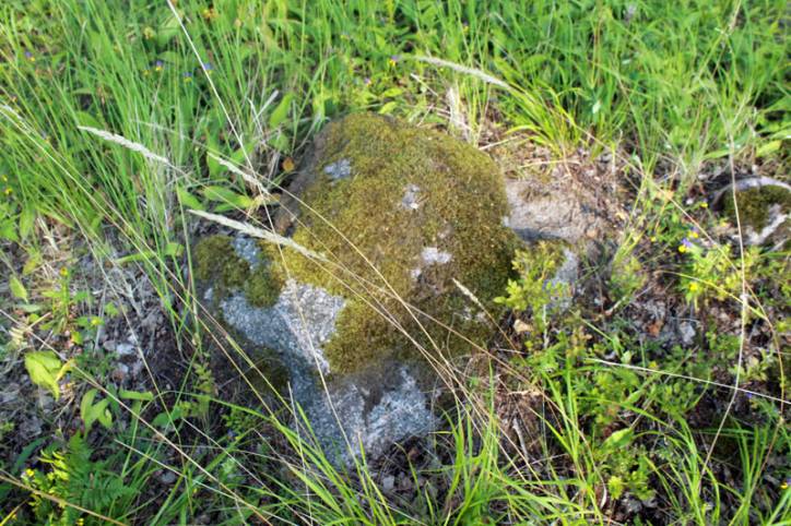  -  The Stone Crosses. 