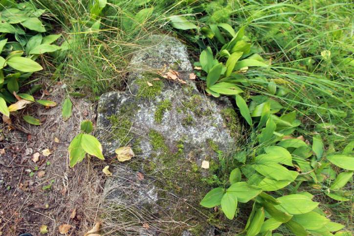  -  The Stone Crosses. 