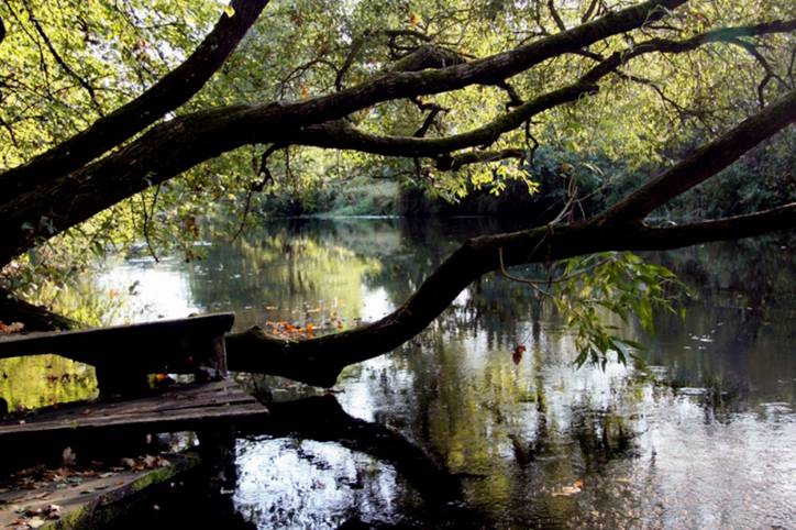  -  Музейный этнографический комплекс. 