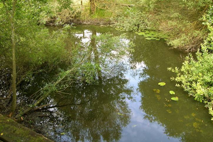  -  Музейный этнографический комплекс. 