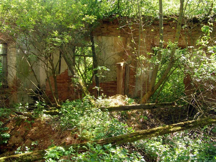 Жухавічы Малыя. Прысядзібны парк 