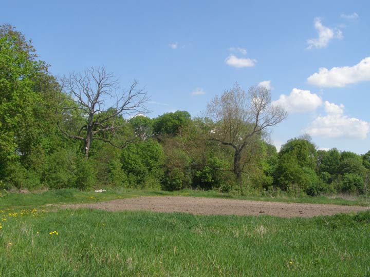 Жухавічы Малыя.  Прысядзібны парк 