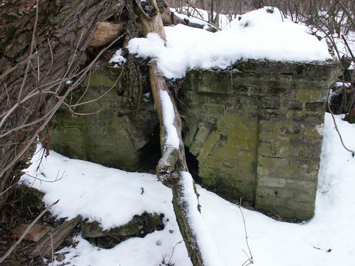 Сычы. Прысядзібны парк пры былой сядзібе Талочкаў