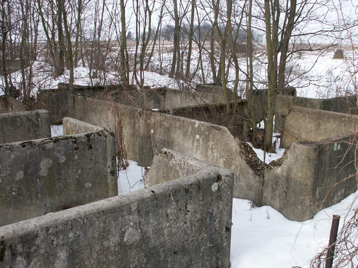 Сычы. Прысядзібны парк пры былой сядзібе Талочкаў