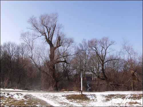 Малые Щитники. Усадебно-парковый ансамбль Тукалло