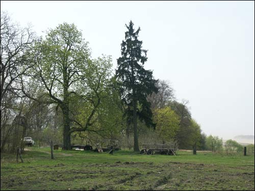 Малые Щитники. Усадебно-парковый ансамбль Тукалло